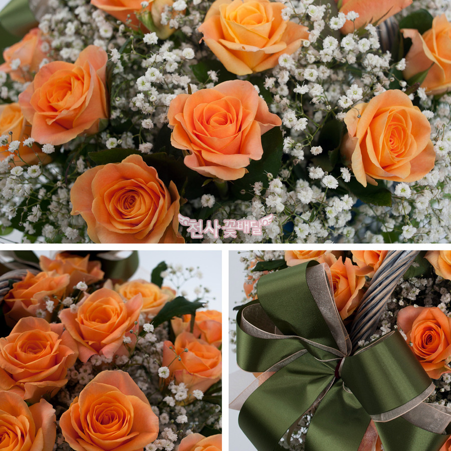 상세이미지