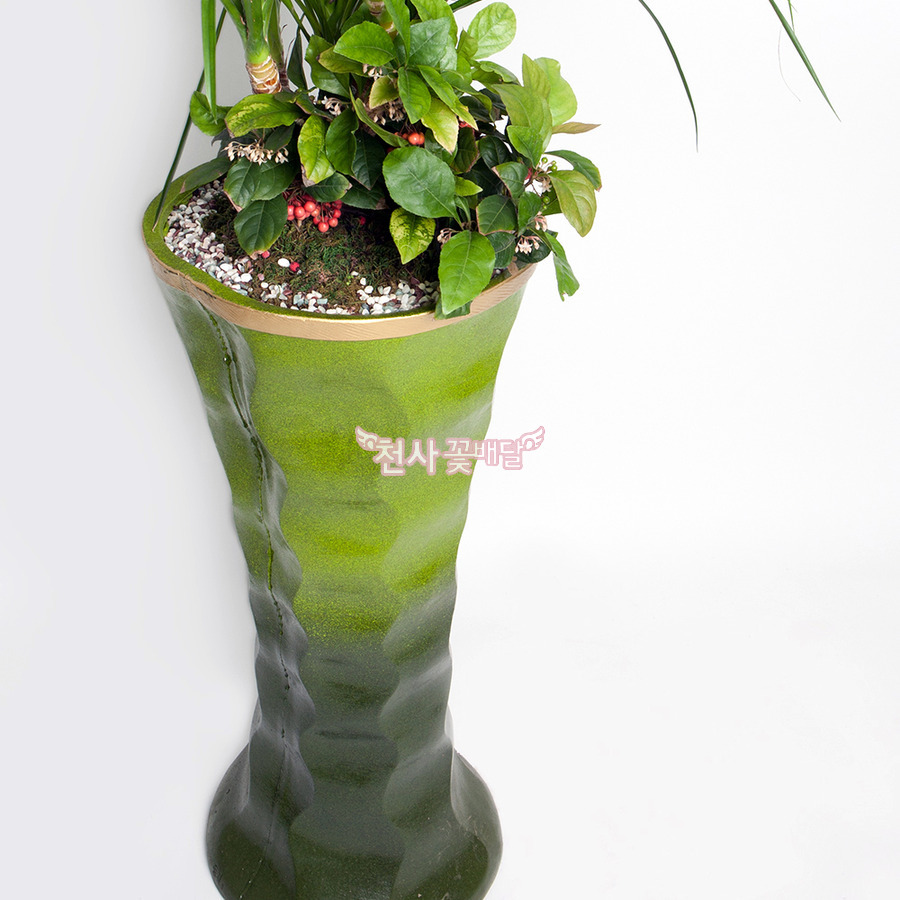 상세이미지