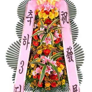 ★알뜰형★ 서울.광역시만 가능 (경기x)