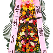 축하3단 중급형(강원/제주지역 주문불가)