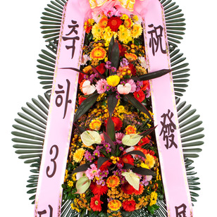 축하3단 중급형(강원/제주지역 주문불가)