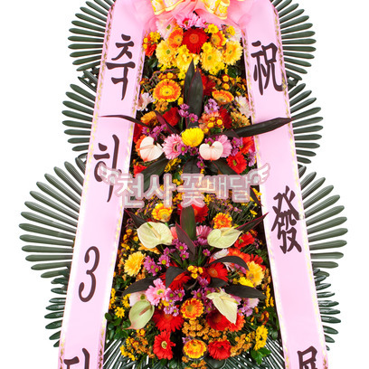 축하3단 중급형(강원/제주지역 주문불가)