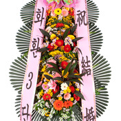 축하3단 일반형 (강원/제주/군단위 지역 제외)