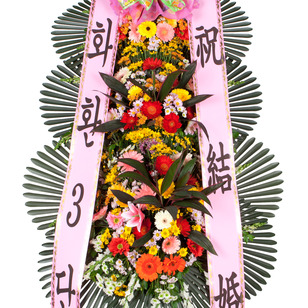 축하3단 일반형 (강원/제주/군단위 지역 제외)