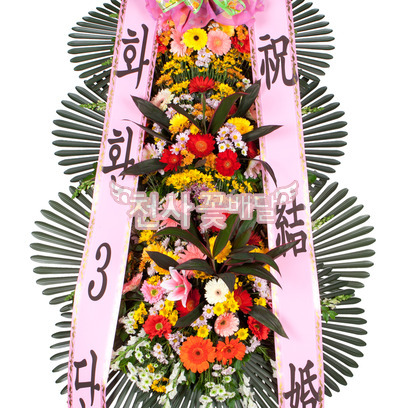 축하3단 일반형 (강원/제주/군단위 지역 제외)