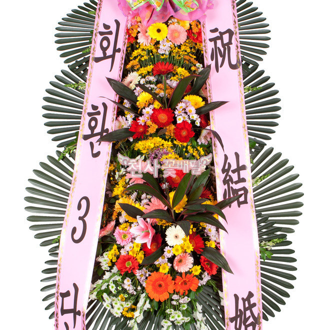 축하3단 일반형 (강원/제주/군단위 지역 제외)