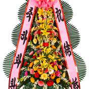 축하3단 (특) 프리미엄