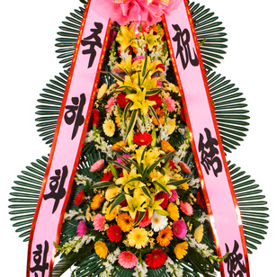 축하3단 (특) 프리미엄