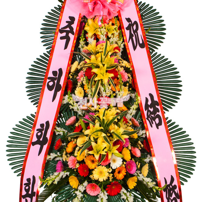 축하3단 (특) 프리미엄