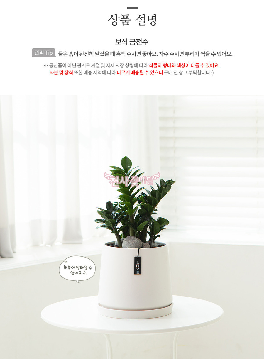 상세이미지