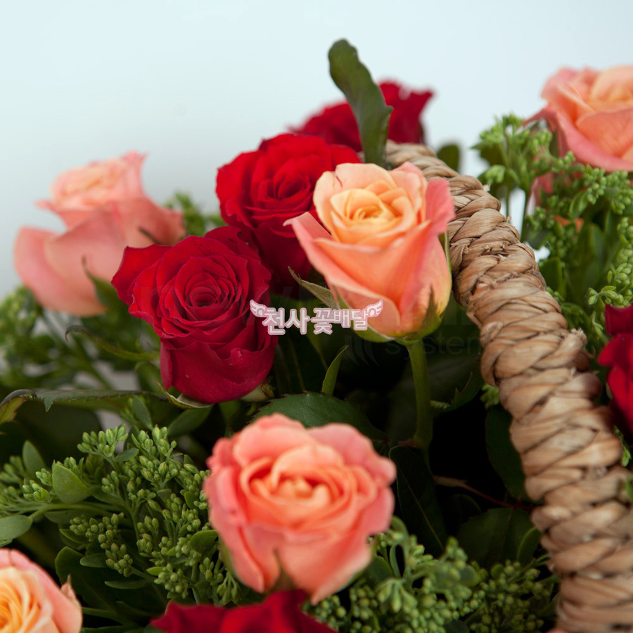 상세이미지