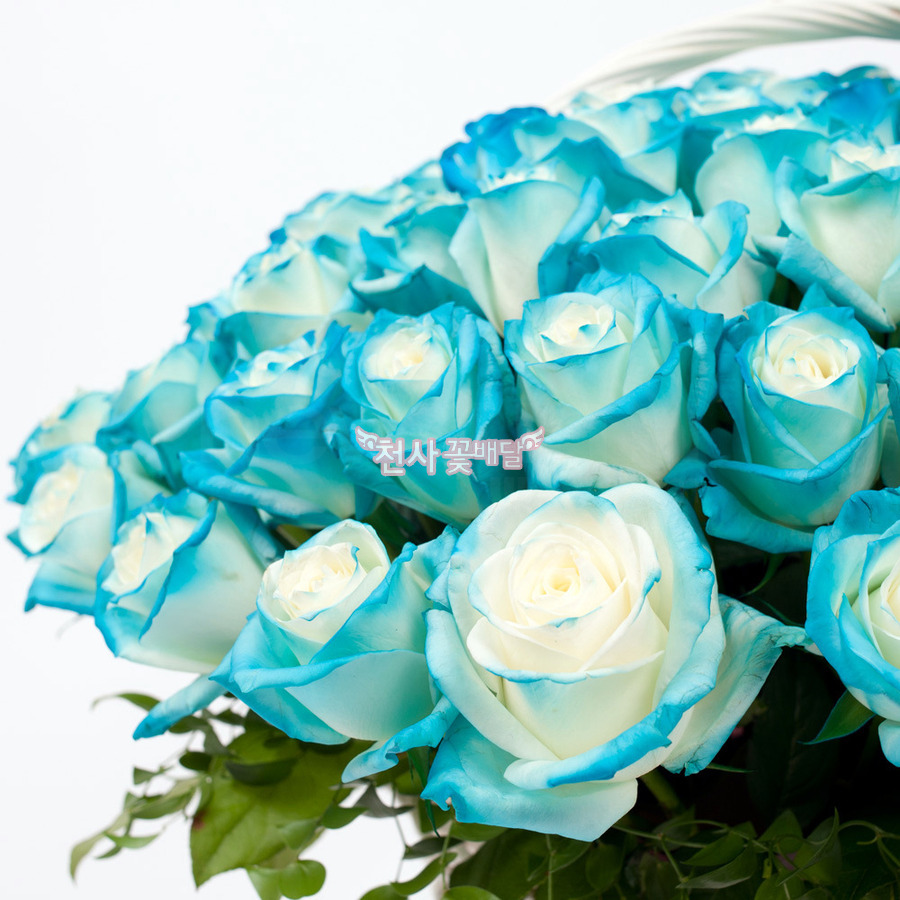 상세이미지