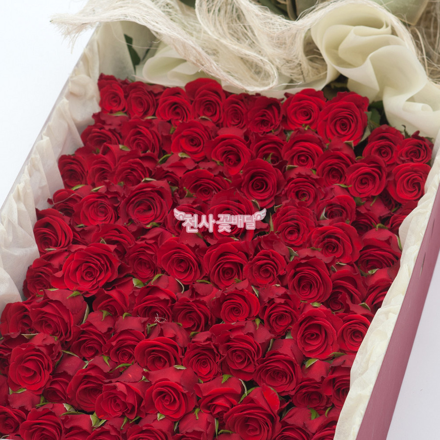 상세이미지