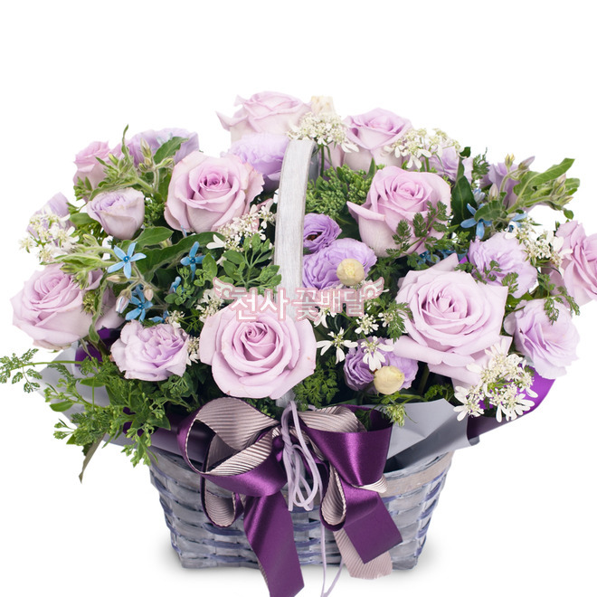보라빚 사랑