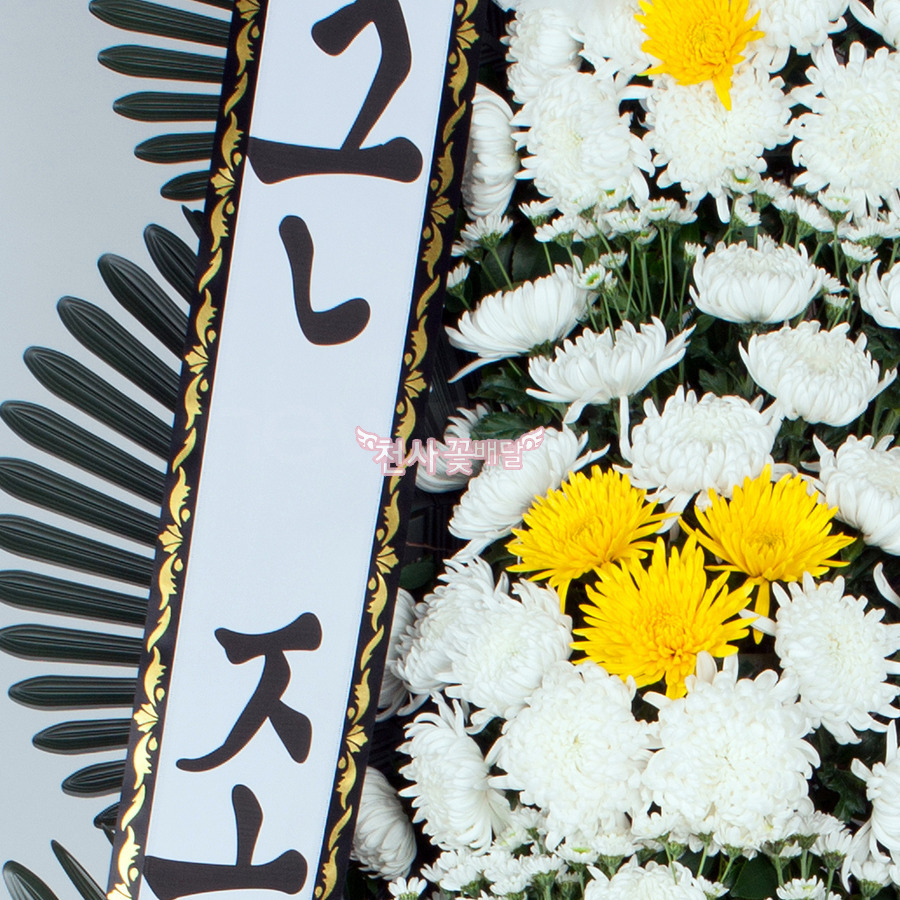 상세이미지