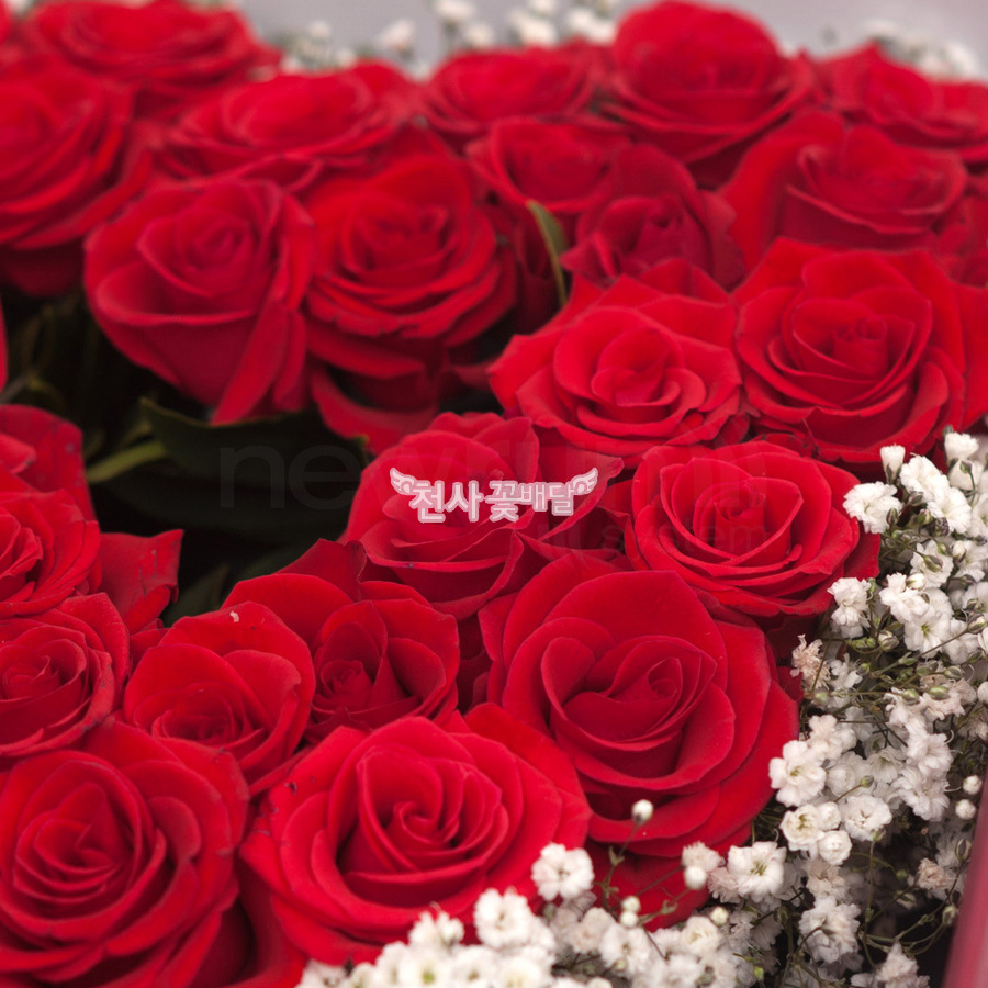 상세이미지