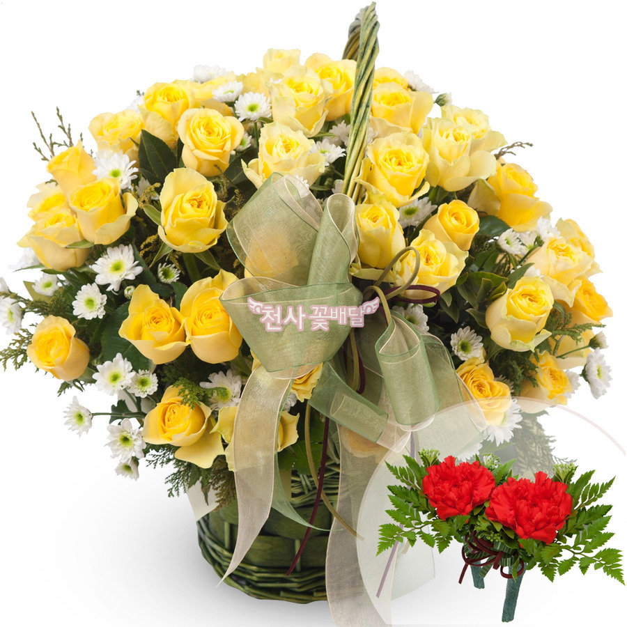 상세이미지