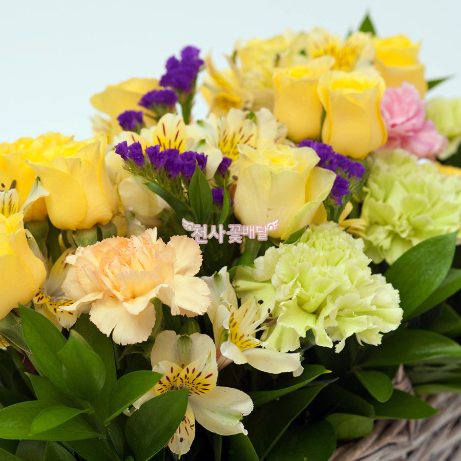 상세이미지