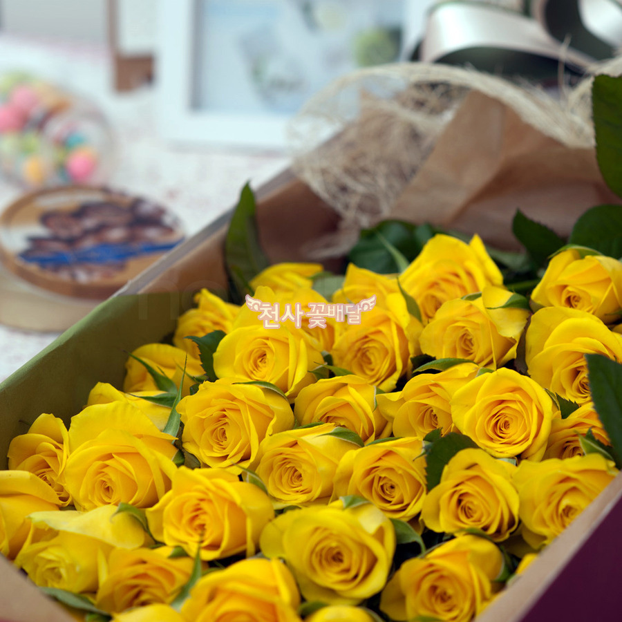 상세이미지