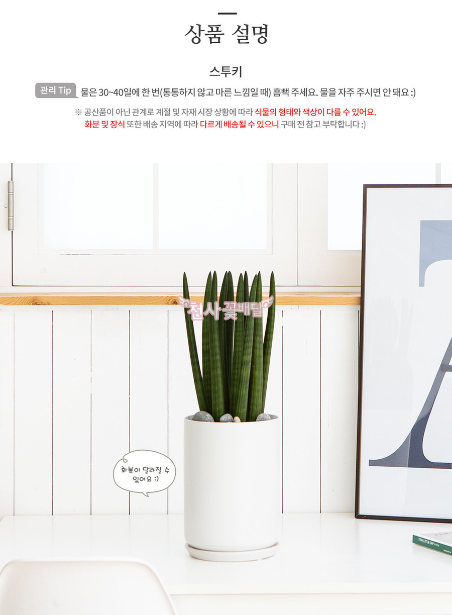 상세이미지