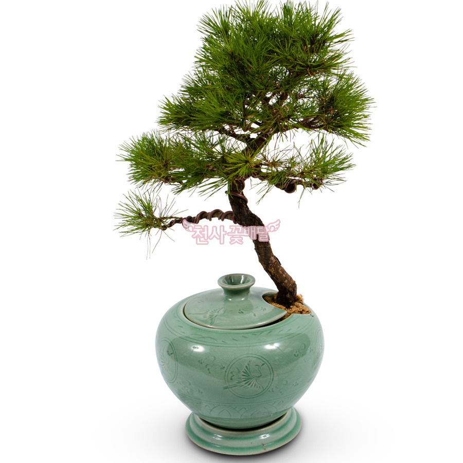 상세이미지