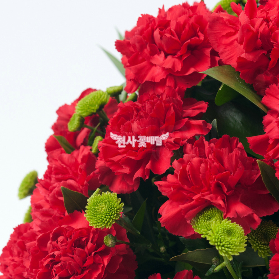 상세이미지