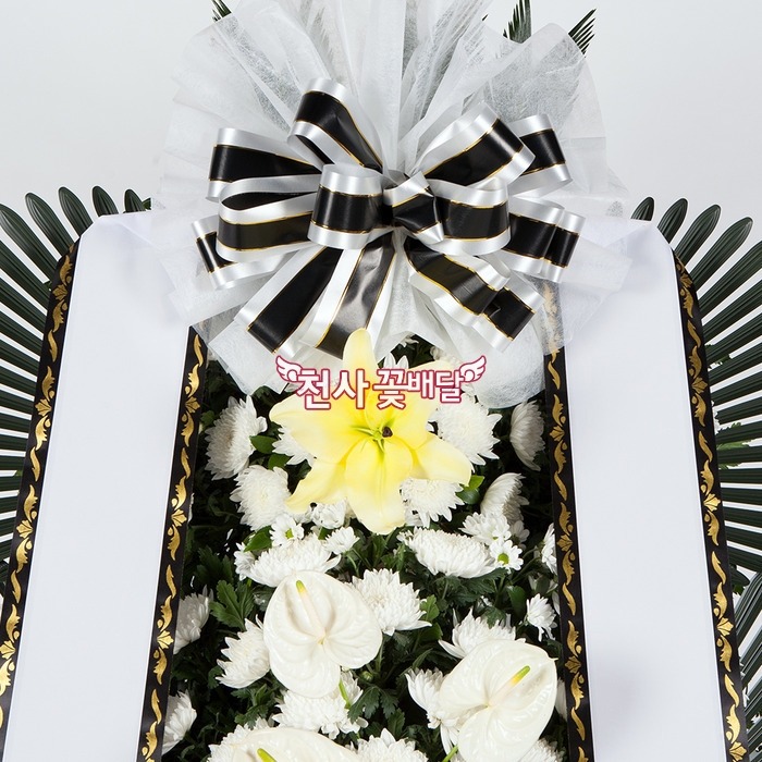 상세이미지