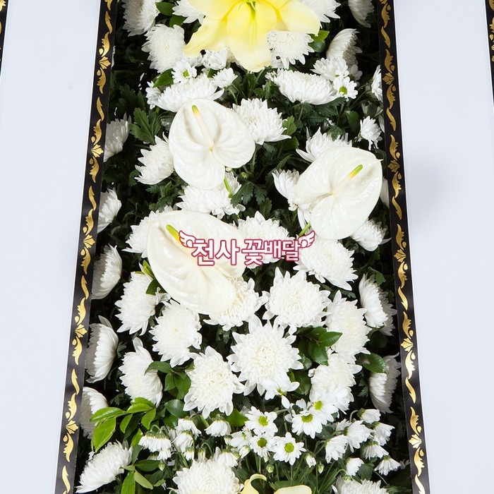 상세이미지