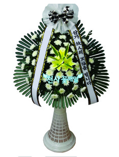장구1단